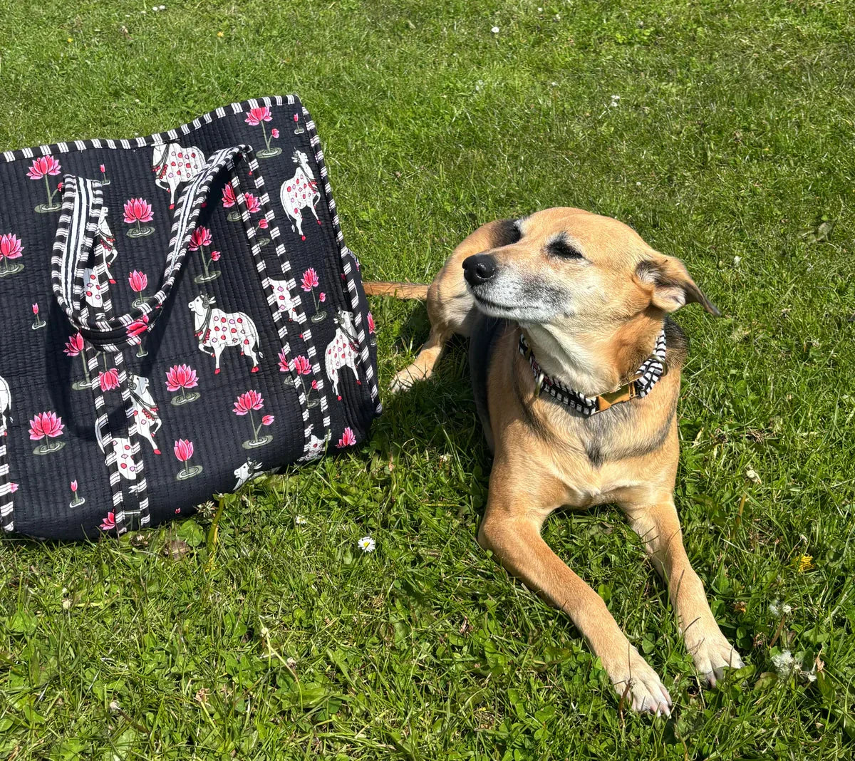 How Ethical Fashion Brands Are Supporting Animal Welfare?
